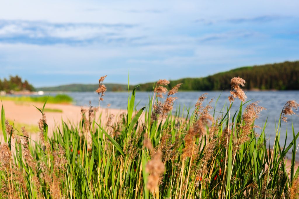 Sandstrand